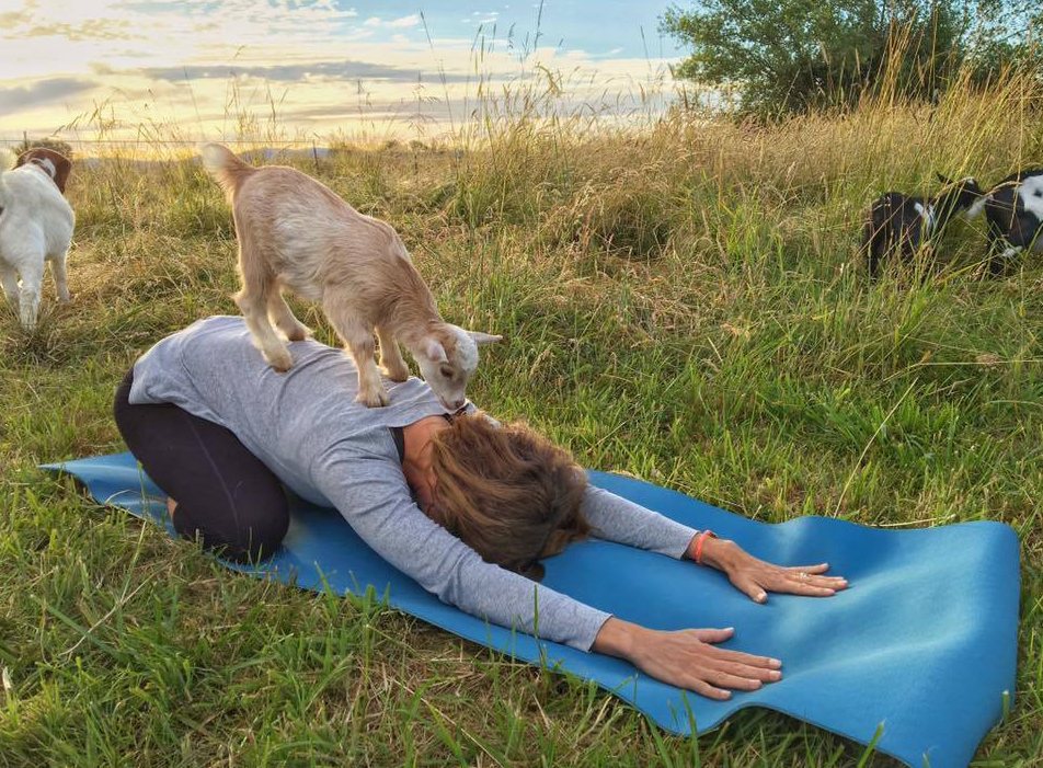 yoga